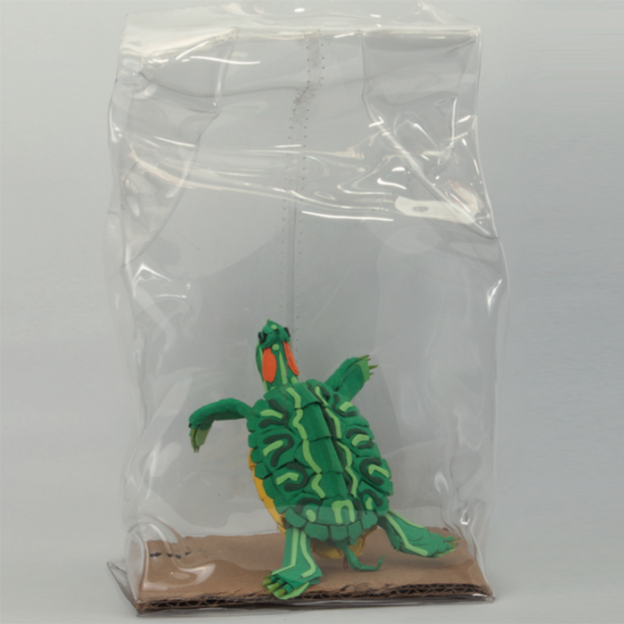 5352_tortuga_verde.png